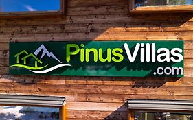 Pinus Villas