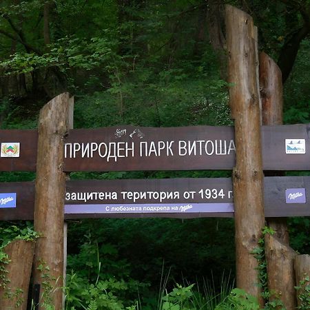 Pinus Villas Lodge With Private Jacuzzi & Phyto-Sauna Retreat Zheleznitsa Екстериор снимка