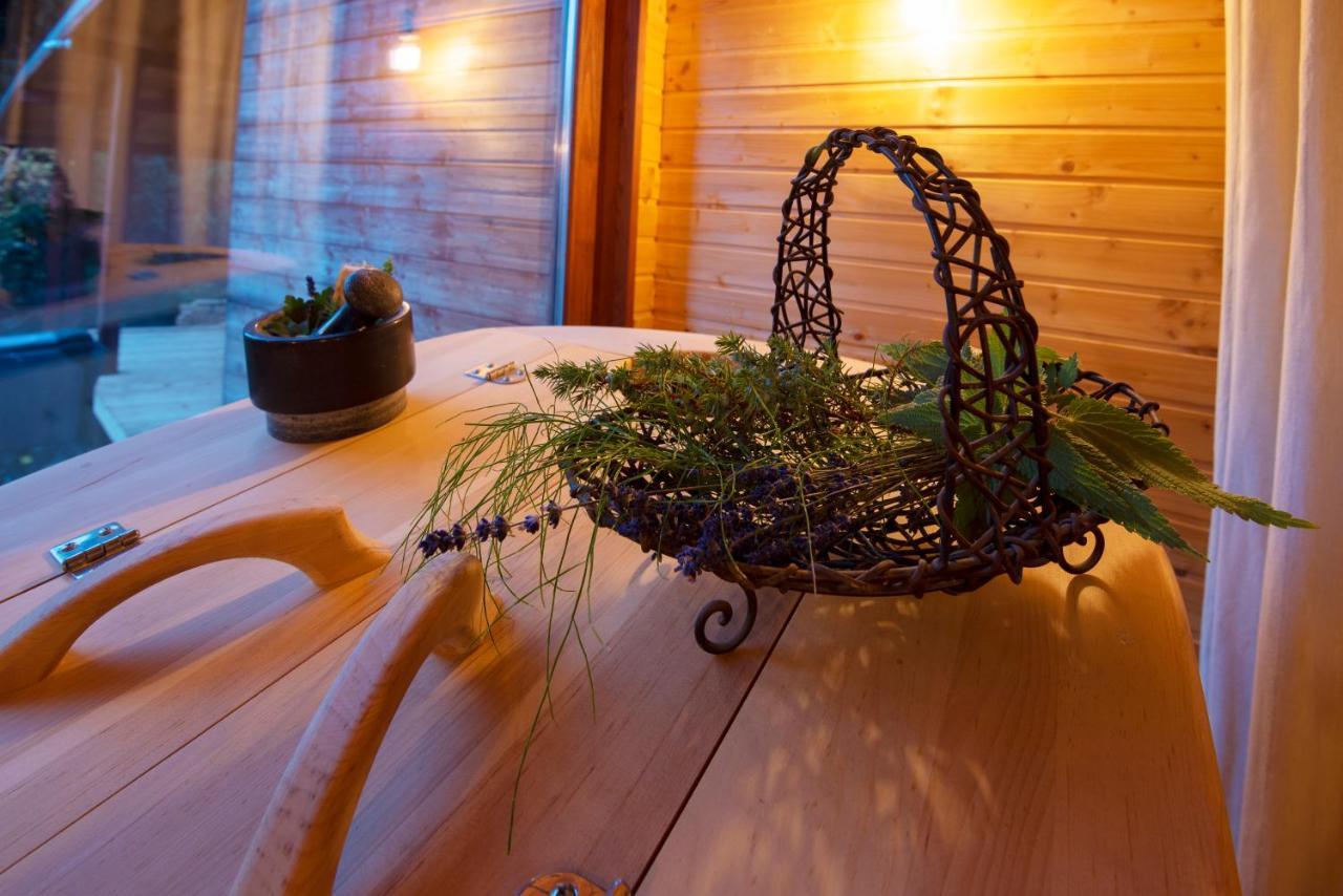 Pinus Villas Lodge With Private Jacuzzi & Phyto-Sauna Retreat Zheleznitsa Екстериор снимка