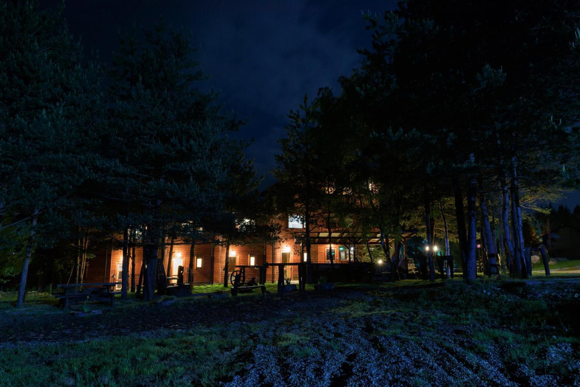 Pinus Villas Lodge With Private Jacuzzi & Phyto-Sauna Retreat Zheleznitsa Екстериор снимка