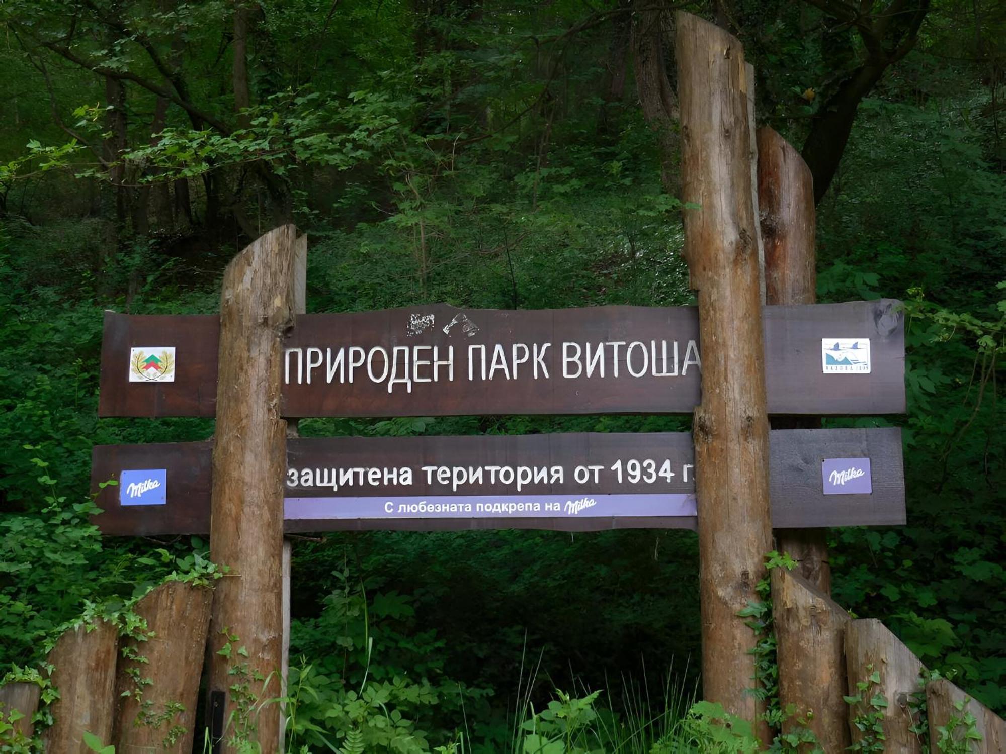 Pinus Villas Lodge With Private Jacuzzi & Phyto-Sauna Retreat Zheleznitsa Екстериор снимка